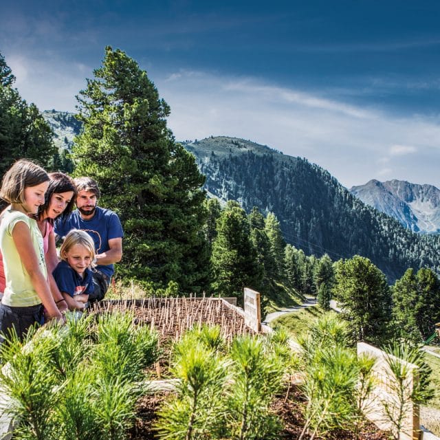 familie sommer zirbenpark hochzeiger