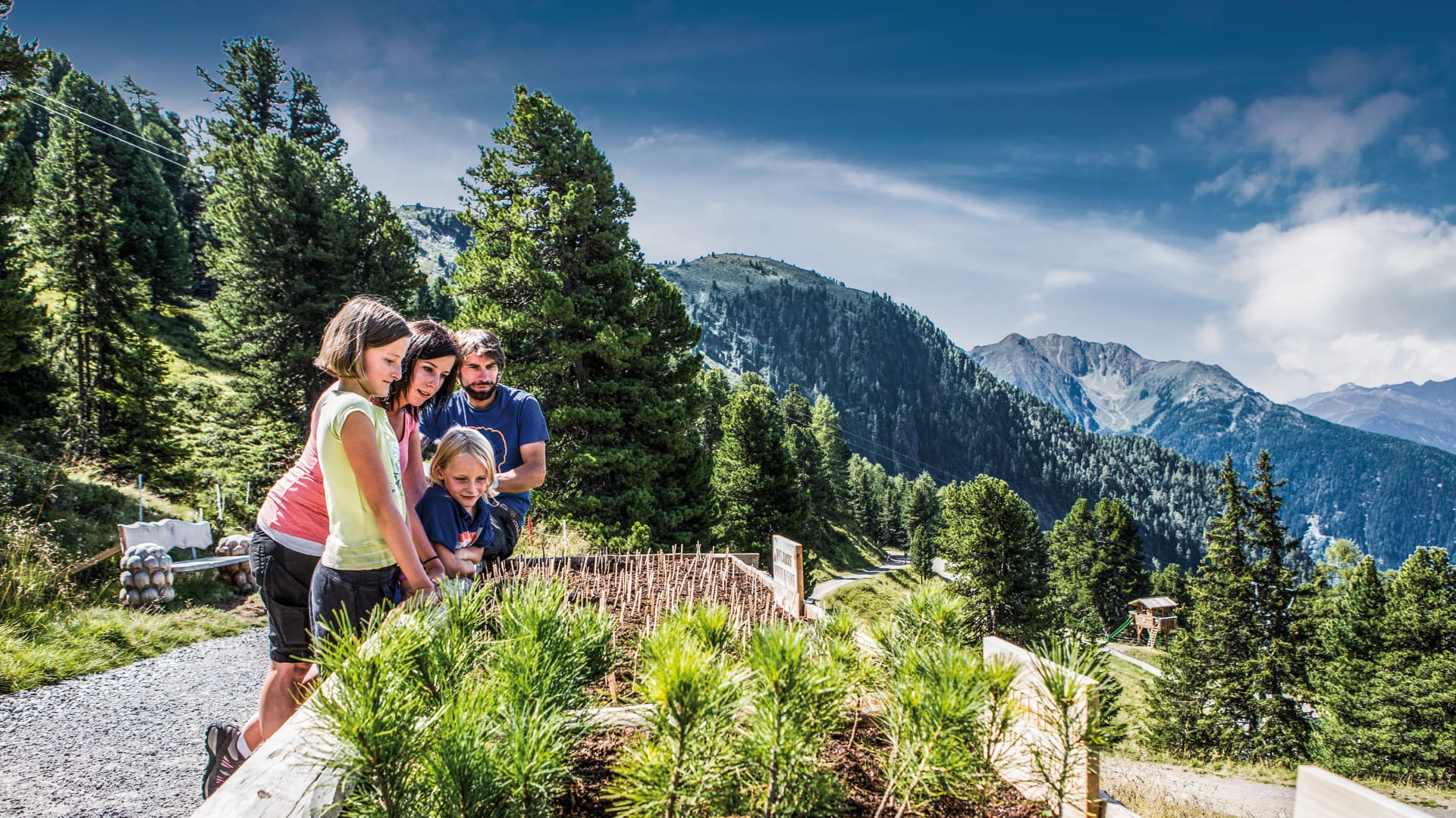 familie sommer zirbenpark hochzeiger